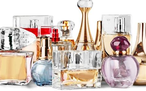 does fragrancex sell authentic perfumes|how to check perfume authenticity.